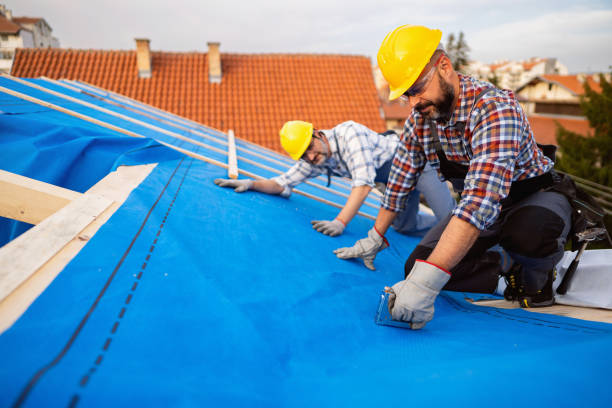 Best Commercial Roof Installation  in Tolono, IL