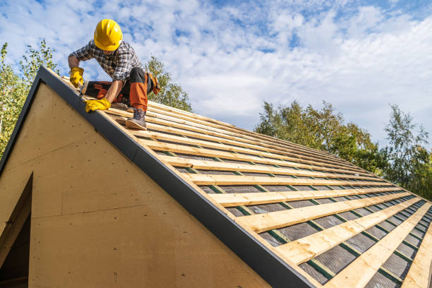 Best Storm Damage Roof Repair  in Tolono, IL